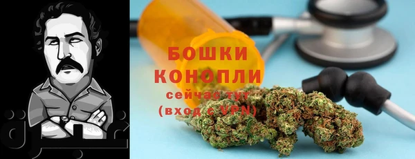 мдпв Янаул