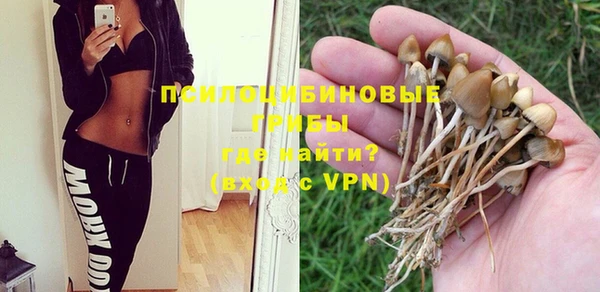 мет Кулебаки