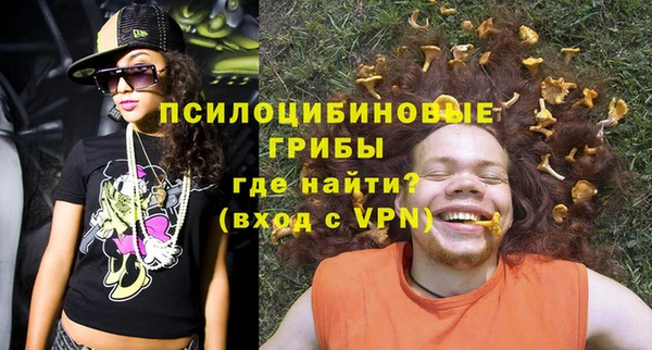 СК Кукмор