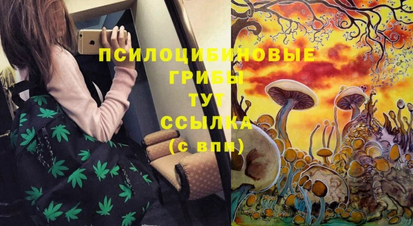 СК Кукмор