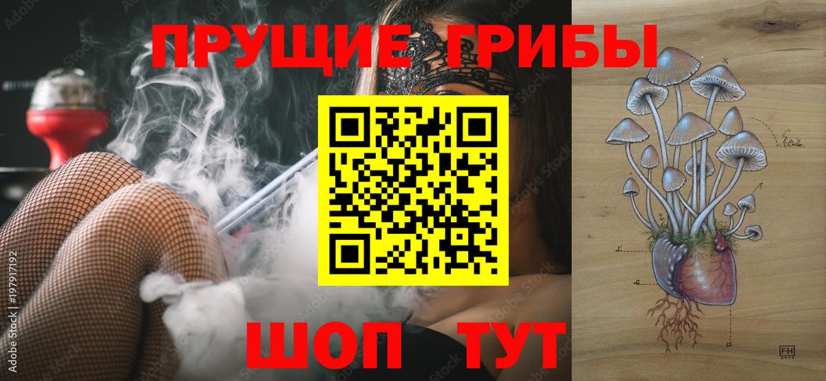 Раменское  Псилоцибиновые грибы Psilocybe  Псилоцибиновые грибы Cubensis  Вход с VPN 